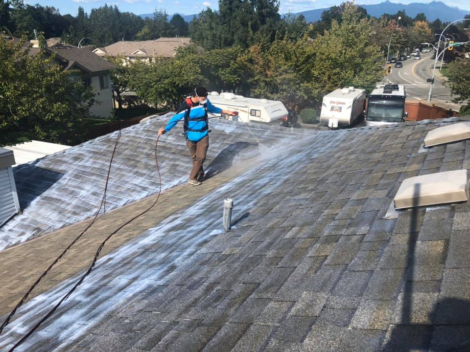 waterproofing roof coating